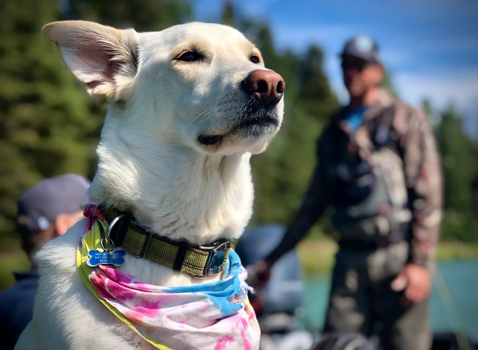 Kenai fishing guide trip photo 4
