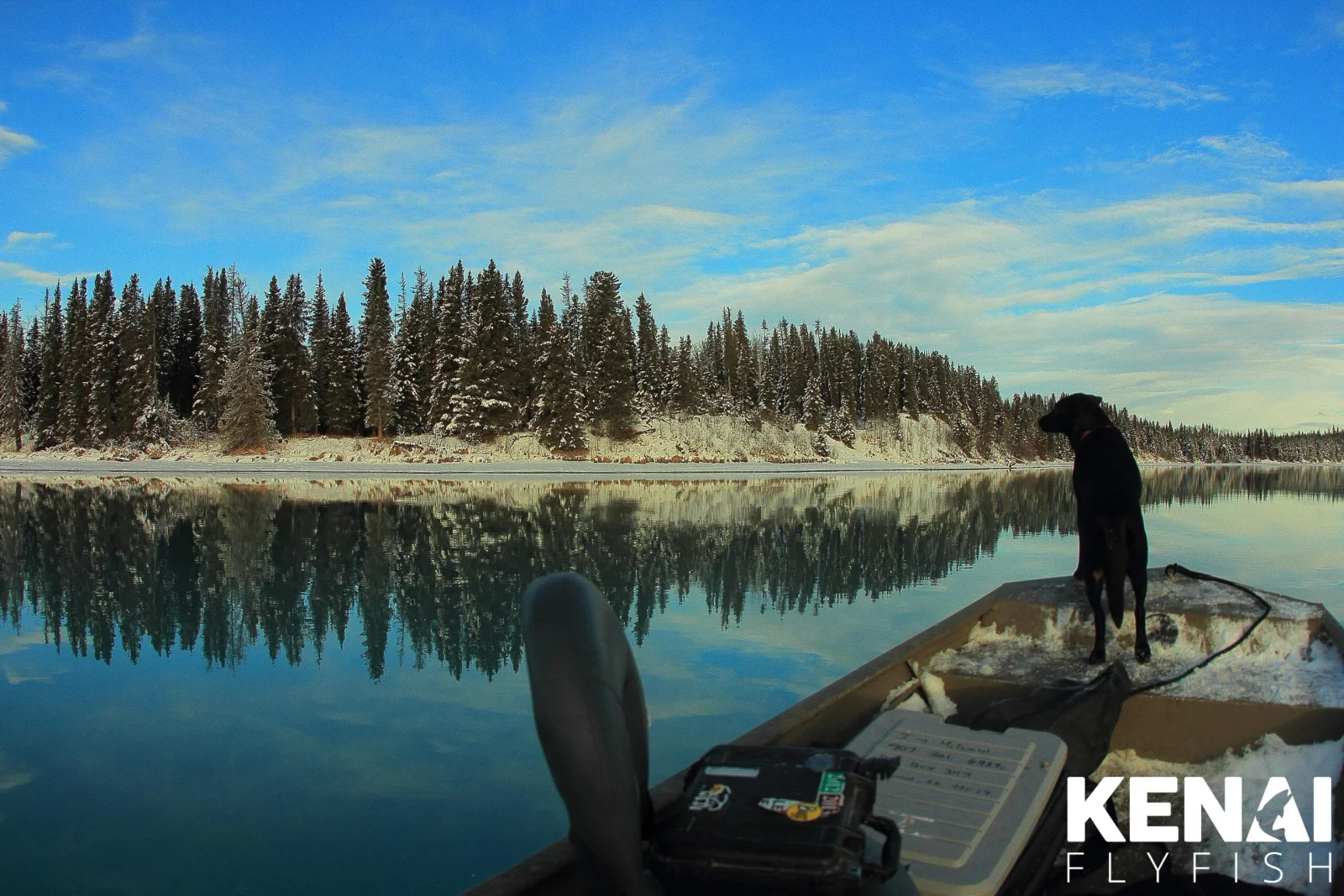 Kenai fishing guide trip photo 7