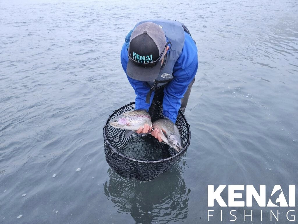 Halibut Fishing