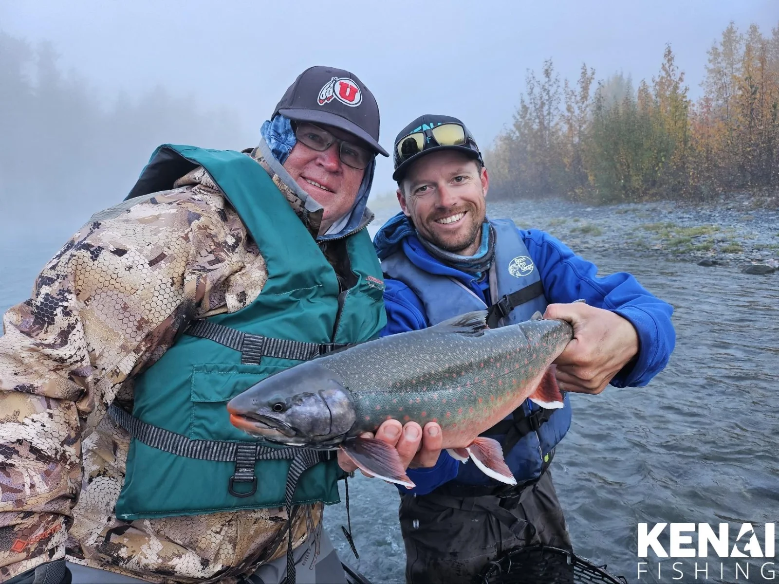 Dolly Varden