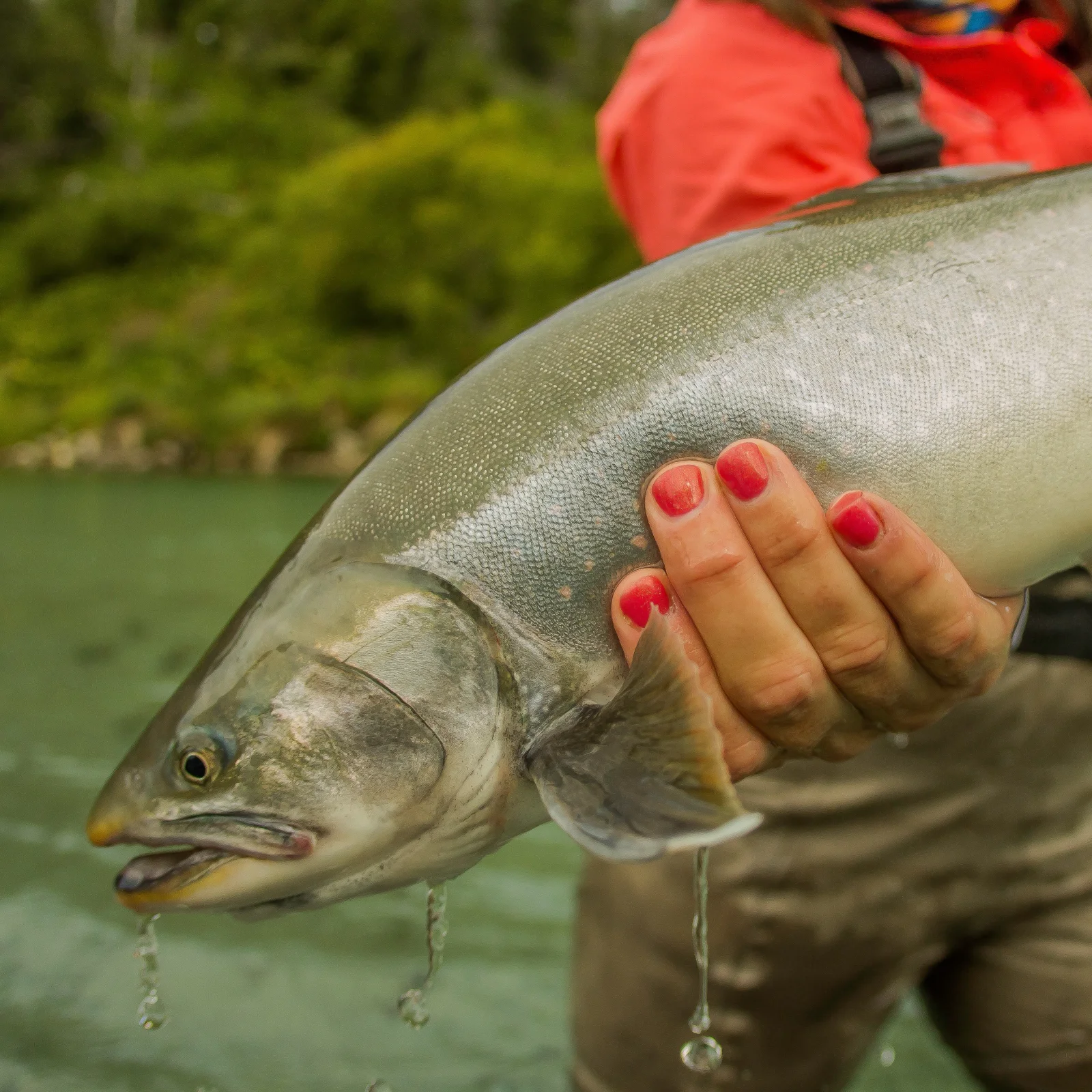 Kenai River fishing