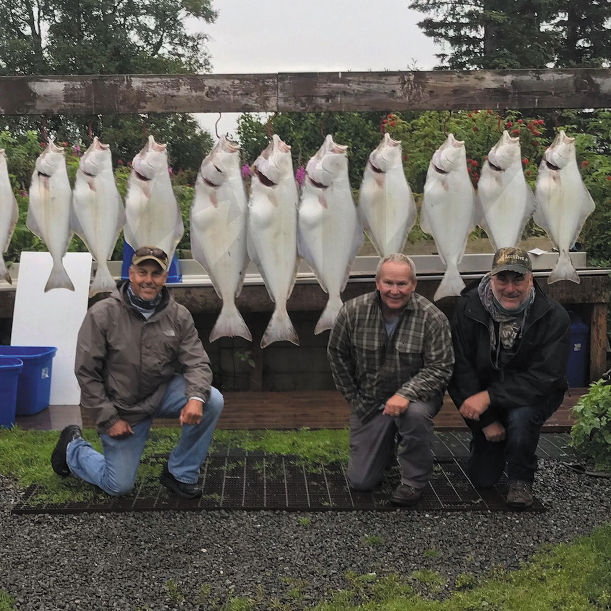 Alaska halibut fishing charter catch on Cook Inlet