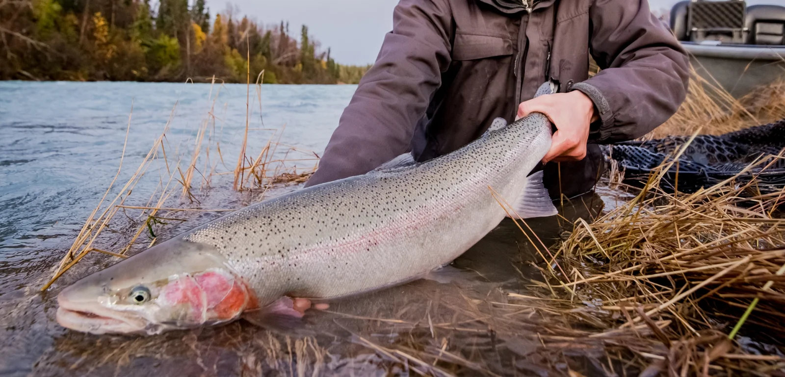 Kenai fishing guide trip photo 8