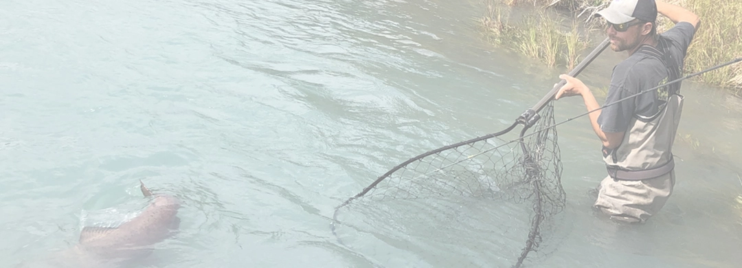 Kenai fishing guide trip photo 2