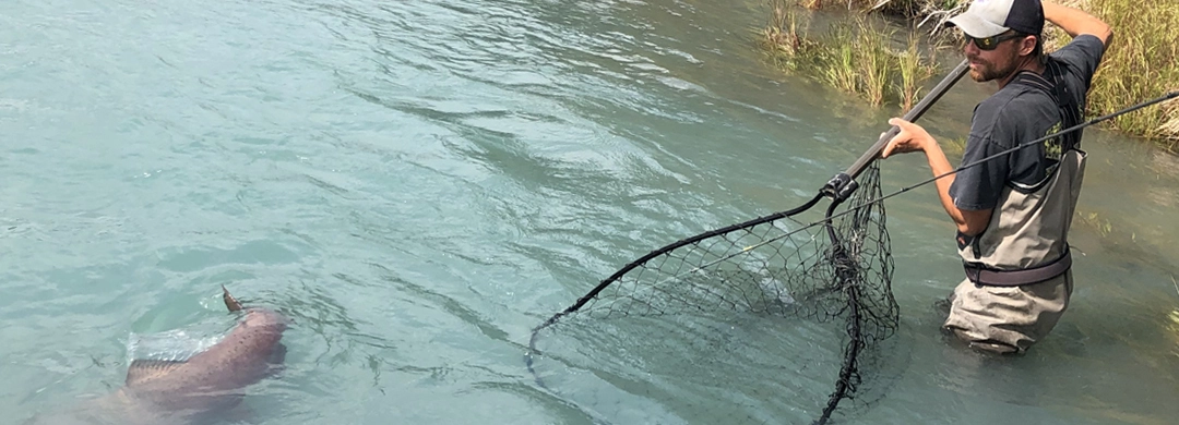 Kenai fishing guide trip photo 3