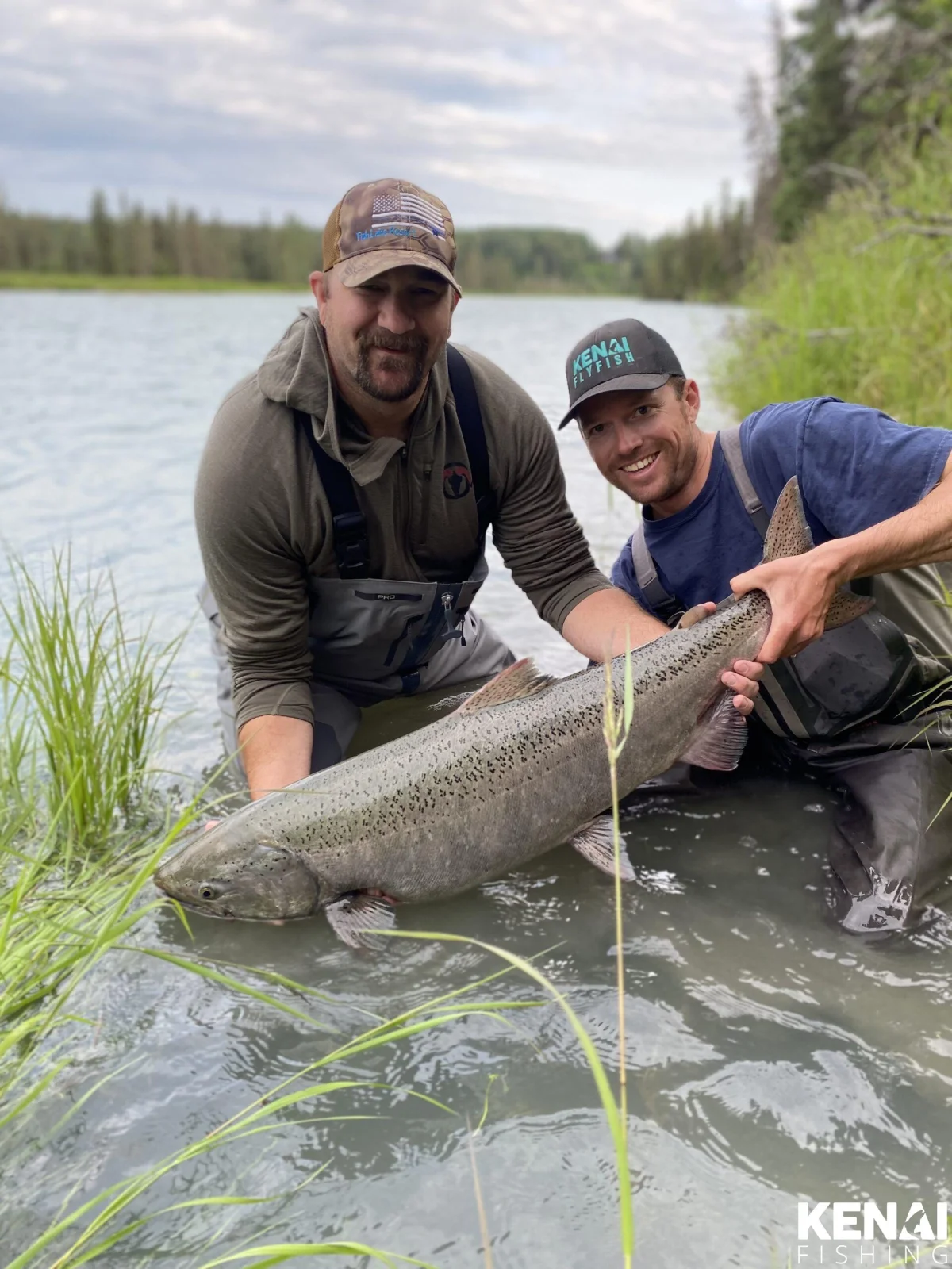 King salmon