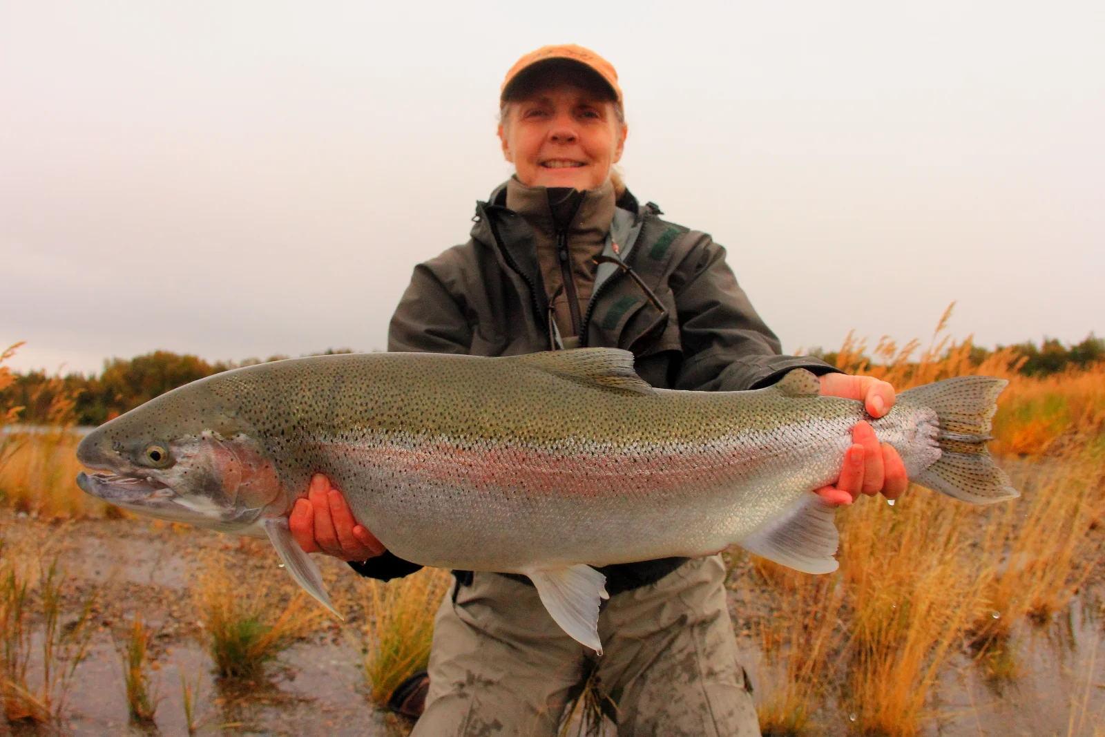 Alaska Salmon Fishing