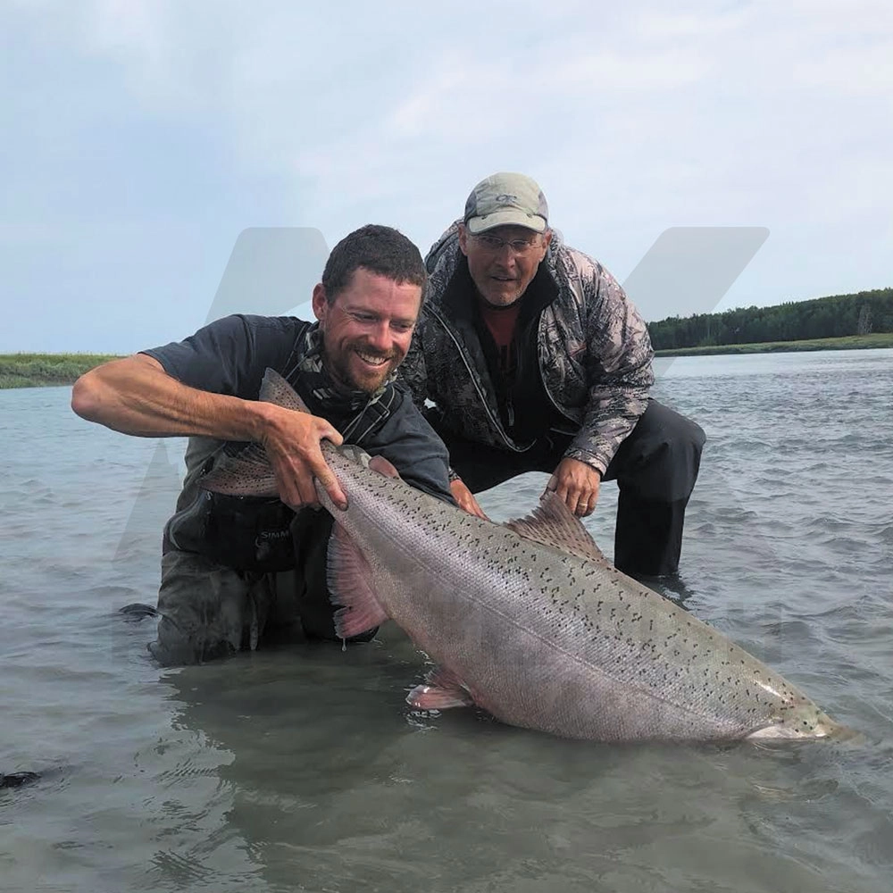 Why Are Kenai Kings So Big?