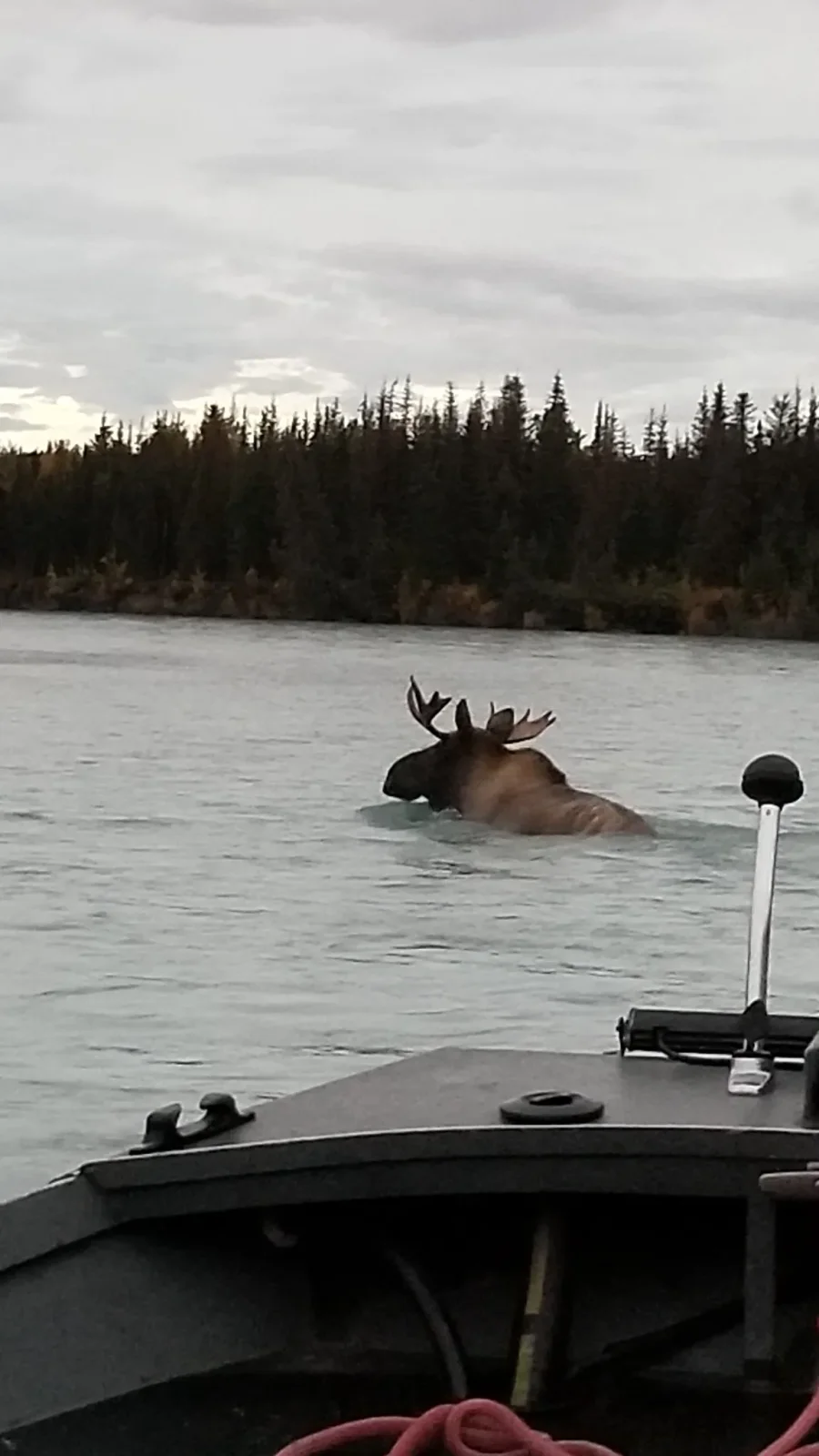 Kenai fishing guide trip photo 23