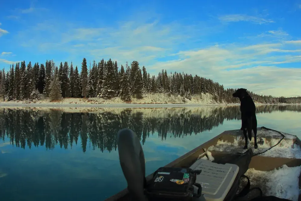 Dog boat — Kenai Fishing