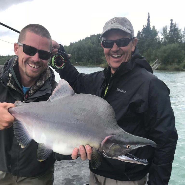 Pink Salmon (Humpies)