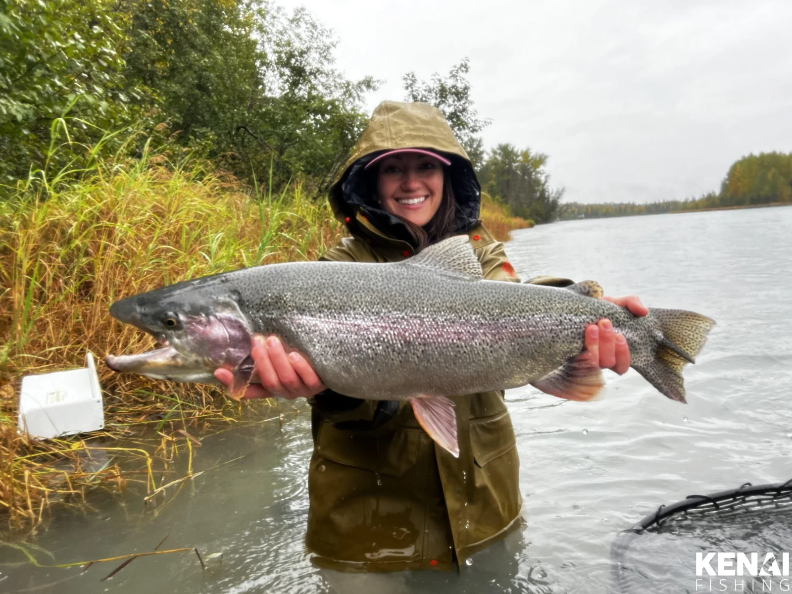 Trophy Rainbow Trout