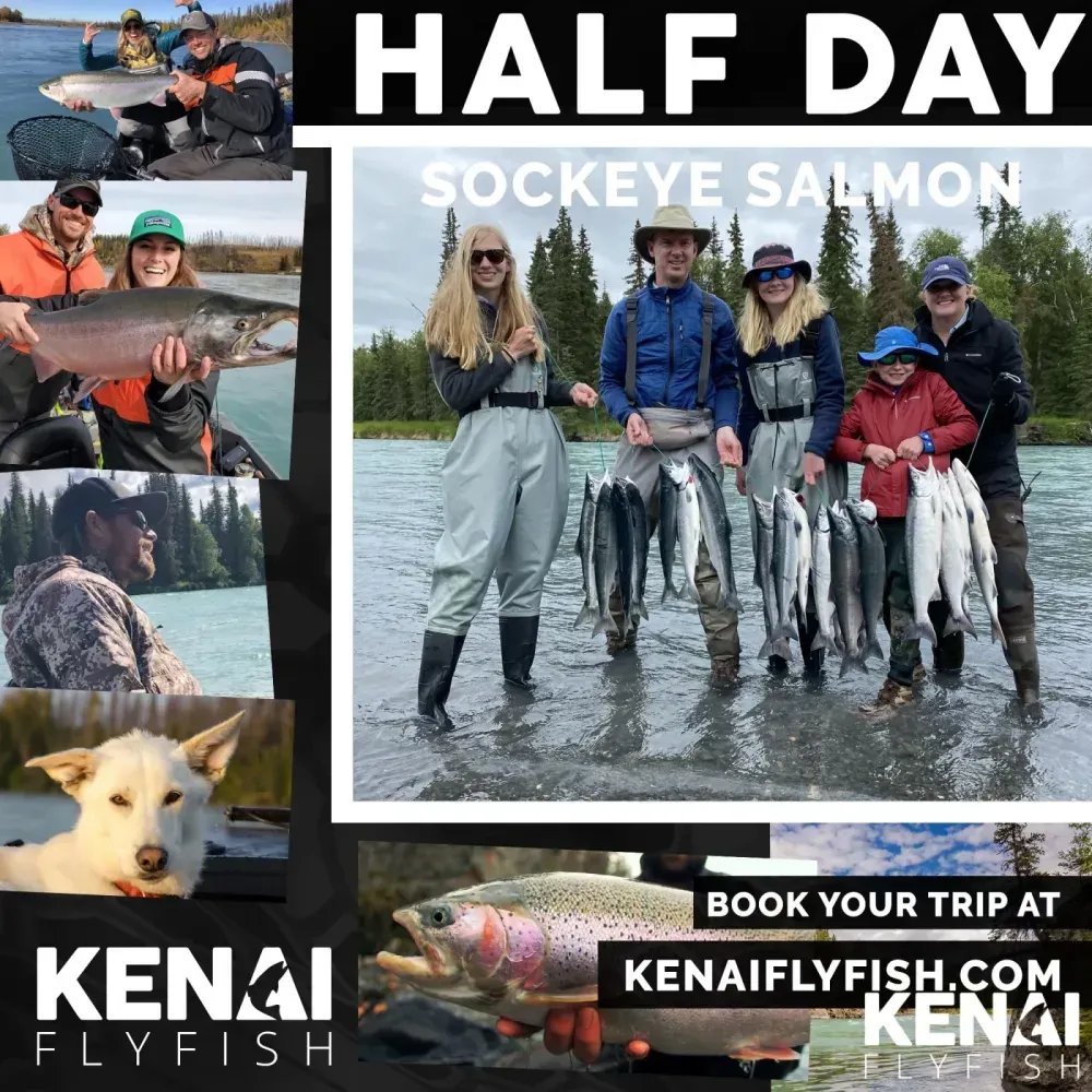 Half day sockeye salmon guided trip on the Kenai