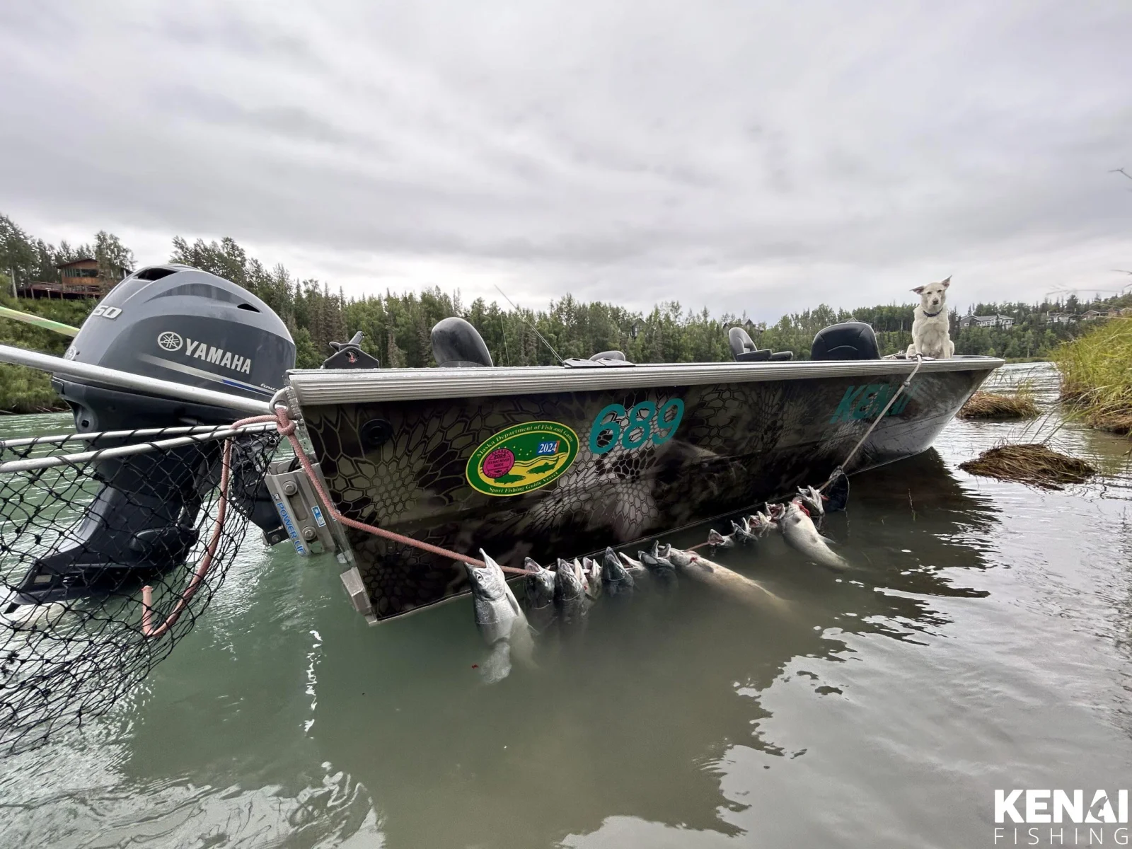 2026 Kenai River Salmon Run Timing Chart
