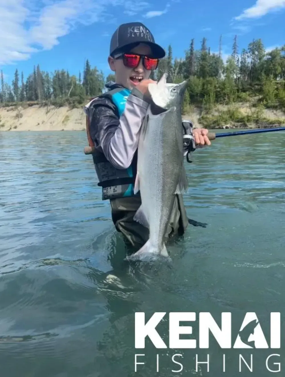 Sockeye salmon in net ready for filleting